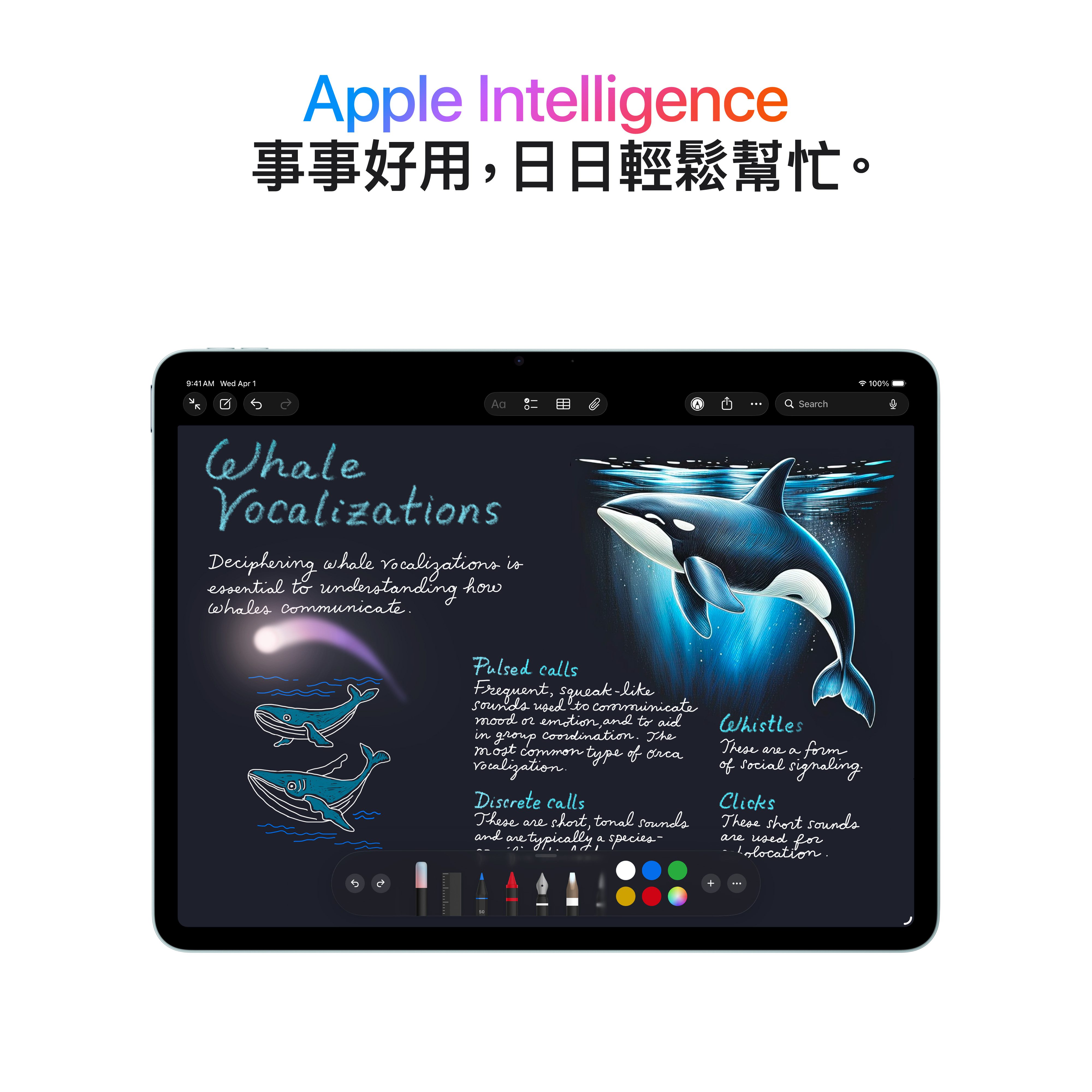 Apple 8211 iPad Air 11 M4  WiFi  512GB  藍色