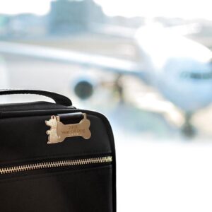 SOVIS 聖誕038旅行必備 INTEGRATED 038 SMART 全方位旅行電源解決方案套裝 White