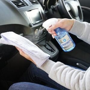 SOFT 99 車內護理清潔劑 20車籠消毒除菌抗菌抗 300ml 02188