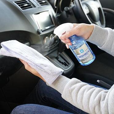 SOFT 99 8211 車內護理清潔劑 20車籠消毒除菌抗菌抗 300ml 02188