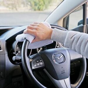 SOFT 99 車內護理清潔劑 20車籠消毒除菌抗菌抗 300ml 02188