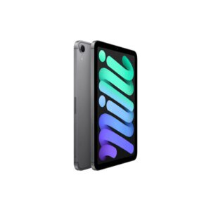 iPad mini A17 Pro 512GB Wi-Fi  流動網絡 太空灰